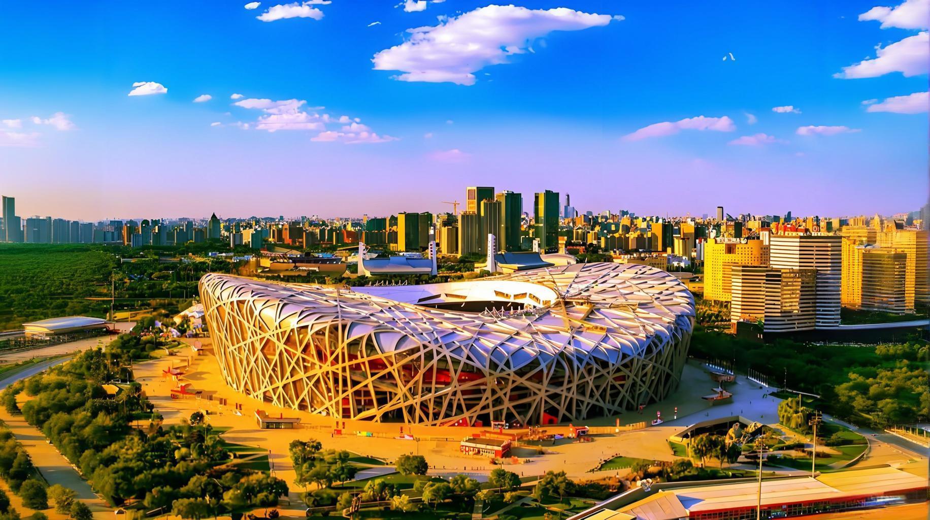 Bird's Nest